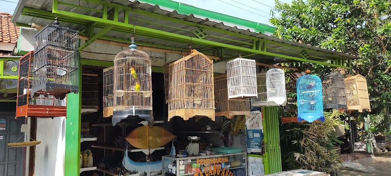 Burung Amin: Jantung Hobi Kicau di Cilacap yang Tak Pernah Pudar